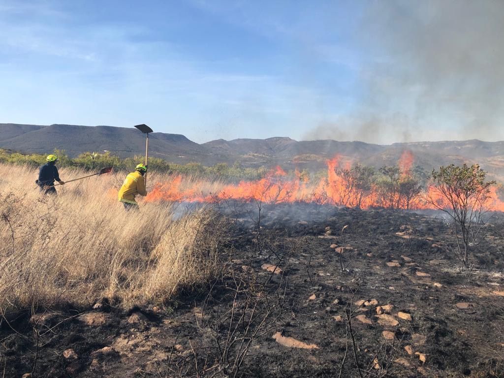 Convive con la naturaleza sin provocar daños ambientales como los ...