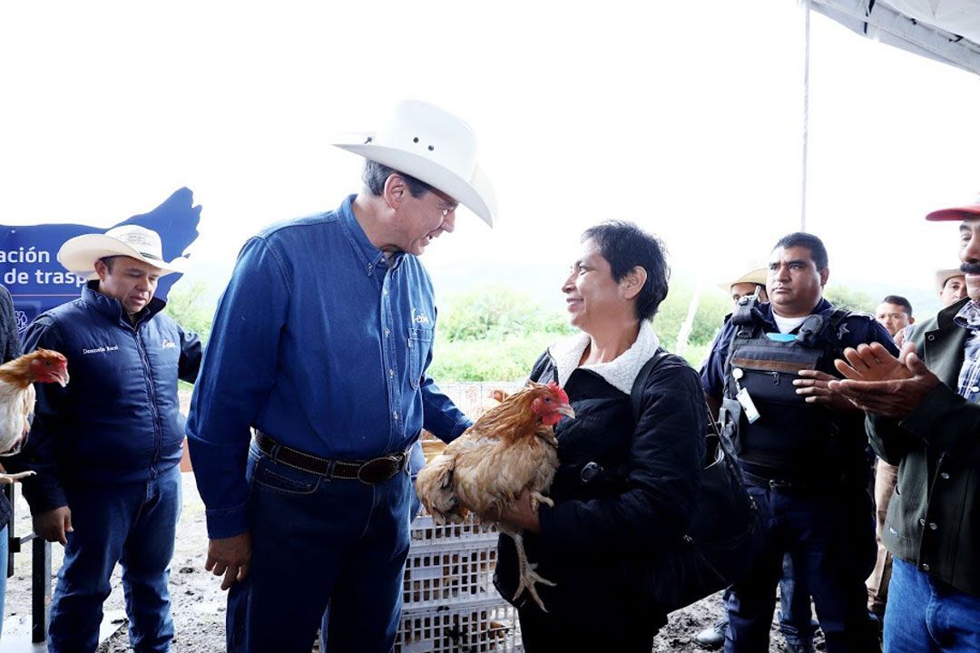 Apoyan a habitantes de 51 comunidades rurales con paquetes de aves ...
